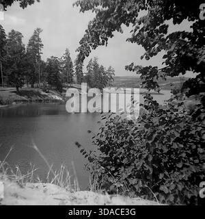 Une photographie pittoresque de paysage historique en noir et blanc des années 1960 capturant une vue panoramique du réservoir Red-Oskol (Krasnooskolskoye) près de Yatskoye, région de Donetsk, Ukraine. Encadrée par des branches d'arbres en surplomb et du feuillage au premier plan, l'image montre l'eau calme et le littoral forestier lointain. La composition reflète la beauté immaculée et la nature paisible du Donbass à l'époque soviétique. Banque D'Images