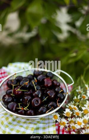 Un bol plein de cerises rouges mûres et juteuses fraîchement cueillies, entouré de verdure et de fleurs. Parfait pour une friandise estivale douce ou comme ingrédient dans de Banque D'Images