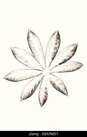 Image monochrome graphique d'une seule feuille de plante de Lupin Banque D'Images