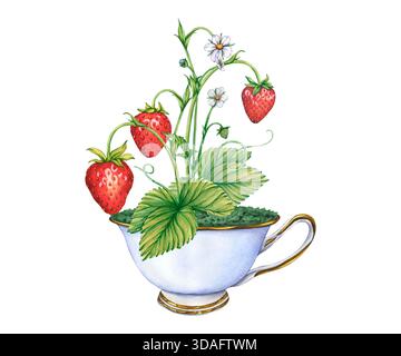 Branches de fraises avec des fraises entières dans une tasse en porcelaine céramique. Illustration aquarelle de la tasse antique bleu lite avec buisson de fraise et mûr Banque D'Images