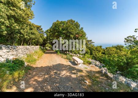 Sentier de randonnée côtier serein et pittoresque menant à travers une végétation luxuriante vers le golfe de Trieste en Italie Banque D'Images