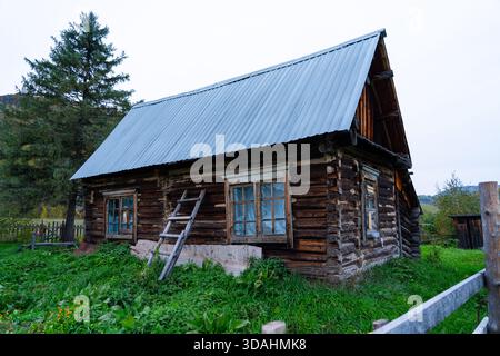 Une vue détaillée d'une ancienne cabane rustique en rondins avec un toit en métal ondulé, avec des cadres de fenêtres en bois et une échelle simple reposant contre l'avant, Banque D'Images