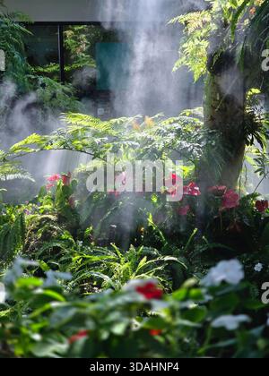 Jardin vertical serein avec vie végétale verdoyante. La brume d'eau douce et la lumière d'ambiance créent une atmosphère paisible dans la nature. calme et bel environnement Banque D'Images