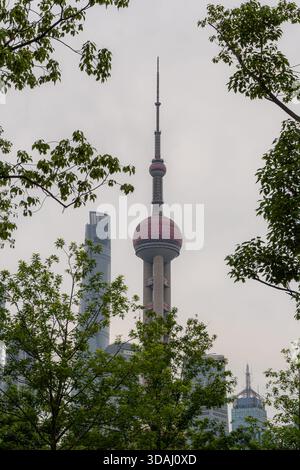 5 mai 2025, Shanghai, Chine : tour de perles orientales derrière les arbres à Shanghai Banque D'Images