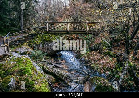 Pont en bois rustique traversant un ruisseau des montagnes Rocheuses dans la forêt d'automne Banque D'Images