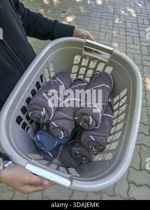 Personne tenant le panier à linge en plastique gris rempli de chaussettes soigneusement roulées et rayées. Cette corvée quotidienne organisée à l'extérieur montre un sentiment de satisfaction TI Banque D'Images