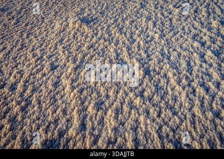 Sel gemme sur un rivage de la mer morte en Jordanie Banque D'Images
