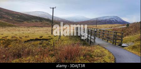 Une touche automnale dans les Highlands écossais avec de belles couleurs, avec des montagnes, une vallée et des arbres dans la scène Banque D'Images