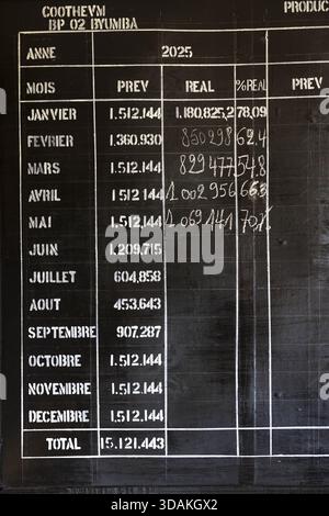 Production de plantations de thé, Nord du Rwanda Banque D'Images