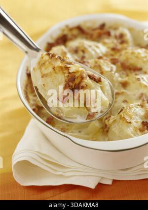 Gratin de fenouil Banque D'Images