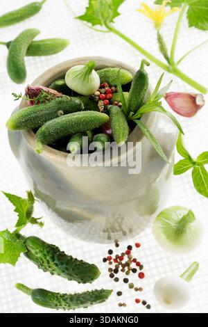 Bocal de cornichons avec des herbes Banque D'Images