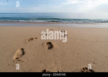 La prise de vue en angle bas capture plusieurs empreintes profondes dans le sable doré chaud de plage menant aux vagues douces et à l'océan bleu clair Banque D'Images