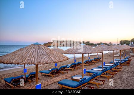 Front de mer près de Chania, Grèce, avec des palmiers, des parasols et des eaux méditerranéennes calmes. Banque D'Images