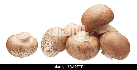 Groupe de champignons boutons bruns isolés Banque D'Images