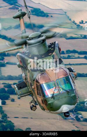AugustaWestland EH1-1-514, immatriculé 19606, hélicoptère de l'armée de l'air portugaise, montré en vue rapprochée du pilote lors d'une exposition air-air au Riat Fairford. Banque D'Images