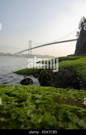 Roches moussues et pont suspendu au-dessus du parc Stanley, Vancouver Banque D'Images
