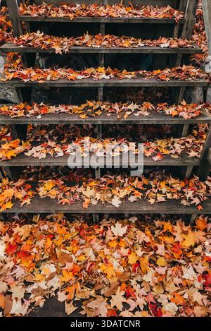 Escaliers en bois couverts de feuilles colorées tombées un jour d'automne. Banque D'Images