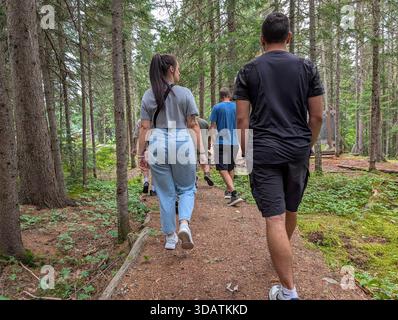 Canada, Québec, 28 juillet 2025 : marcher ensemble sur un sentier paisible de forêt verte le jour d'été Banque D'Images