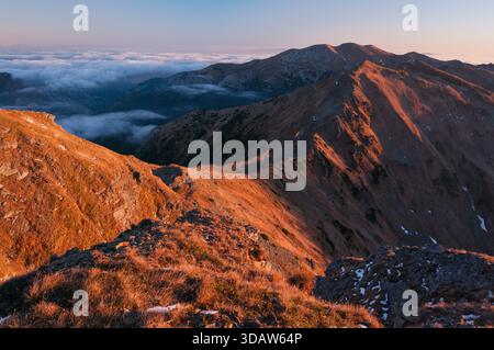 Vue aérienne des sommets escarpés embrassés par la lumière dorée de l'aube surplombant une mer de nuages dans les Tatras occidentales, région de Zillina, Slovaquie. Banque D'Images