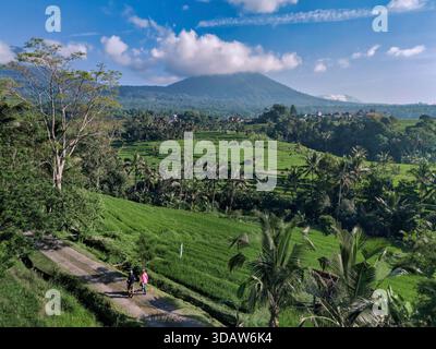 Deux randonneurs sur les pentes de riz en terrasses, le Mont Agung en toile de fond, les verdure luxuriantes, les palmiers, étroit Banque D'Images