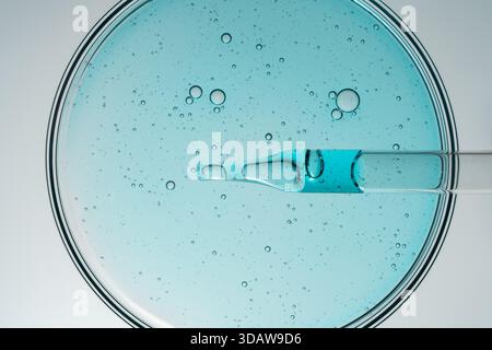 Vue de dessus d'une boîte de Petri transparente contenant un gel cosmétique bleu avec des bulles, jumelée à un compte-gouttes en verre sur un fond blanc propre, mettant en évidence skinca Banque D'Images