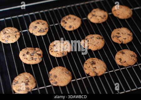 Un lot de biscuits aux pépites de chocolat maison fraîchement cuits refroidissant sur une grille métallique, mettant en valeur leur texture brun doré et de délicieuses pépites de chocolat, Banque D'Images