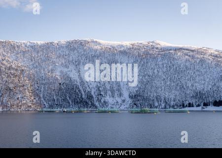 Une scène hivernale sereine montrant des montagnes enneigées et des fermes piscicoles dans un fjord norvégien calme. Les eaux tranquilles reflètent la beauté de la nordique Banque D'Images