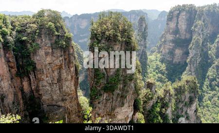Vue majestueuse sur la montagne Hallelujah, également connue sous le nom de pilier du ciel, à Yuanjiajie, dans le parc forestier national de Zhangjiajie, présentant une pilule de grès imposante Banque D'Images