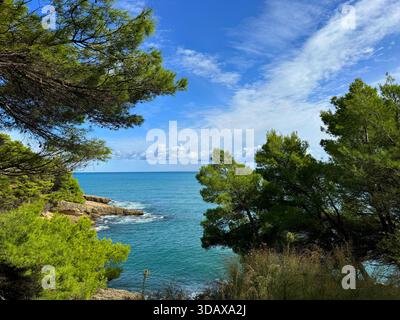 Mer bleue, beau ciel et côte rocheuse envahissent les pins Banque D'Images