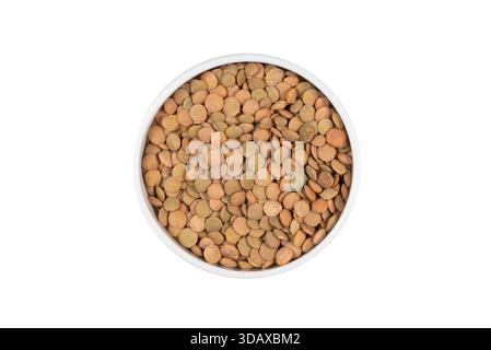 Un bol de lentilles marron et vertes. Les lentilles sont dispersées partout dans le bol Banque D'Images