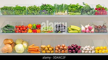 Une épicerie avec une variété de légumes et de fruits. Les légumes sont exposés dans des récipients transparents, ce qui permet aux clients de voir et de cho facilement Banque D'Images
