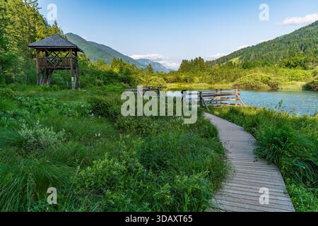 Voyage tranquille à travers la pittoresque réserve naturelle de Zelenci, avec un sentier en bois menant à un lac serein près de Kranjska Gora en Slovénie Banque D'Images