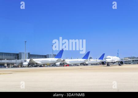 Plusieurs avions blancs et bleus stationnés aux portes de l'aéroport par une journée claire et ensoleillée, attendant leurs prochains départs ou arrivées, créant une scène vibrante Banque D'Images