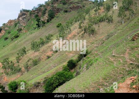 Belle vue sur les collines Cristo Rei à Dili, Timor Leste. Banque D'Images
