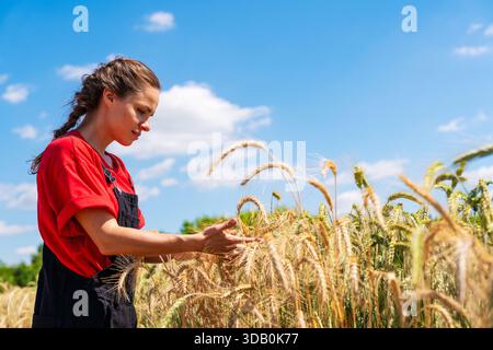 Ouvrier agricole examinant les cultures céréalières à l'extérieur dans la campagne. Banque D'Images