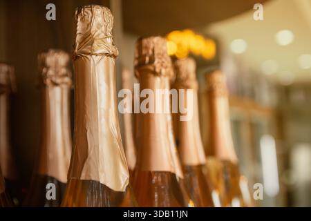 Élégantes bouteilles de champagne avec des cols en feuille d'or, fond légèrement éclairé. Concentrez-vous sur la texture de la feuille et la forme de la bouteille. Banque D'Images