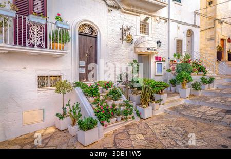 Ruelles pavées et maisons blanchies à la chaux avec des pots de fleurs dans le centre historique d'Ostuni, dans le sud de l'Italie. Banque D'Images