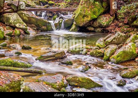 Le feuillage d'automne met en évidence un ruisseau avec de l'eau qui coule profondément dans les grandes Smoky Mountains, montrant la nature sauvage en action alors que l'automne commence à passer Banque D'Images