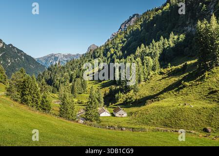 Paysage de montagne pittoresque de la région du col de Pragelpass dans le canton de Schwyz, Suisse. Deux cabanes isolées sont nichées dans la vallée, entourées de prairies verdoyantes et de flancs de montagnes boisées et abruptes. Quelques bovins peuvent être vus paissant sur la colline. Banque D'Images