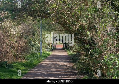 Sentier parallèle à Prittle Brook Greenway, Leigh-on-Sea, Essex, Angleterre, Royaume-Uni, un jour ensoleillé de printemps. (Une connexion sans trafic pour cy Banque D'Images