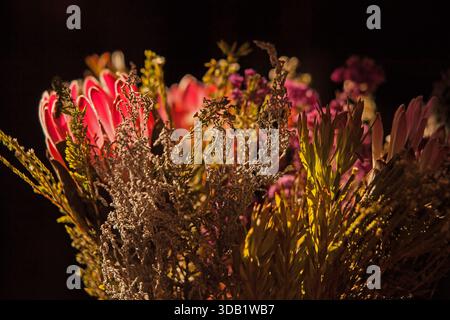 Arrangement floral vibrant mettant en vedette Pink Protea et South African Fynbos 16706 Banque D'Images