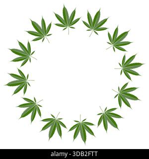 Illustration vectorielle d'une couronne de feuilles de cannabis disposée dans une forme circulaire serrée sur un fond blanc, idéale pour le cannabis médical, la marque cbd, l'emballage et les étiquettes de produits. Illustration de Vecteur