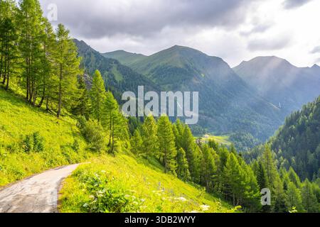 Une route sinueuse mène à travers des montagnes verdoyantes dans les Alpes. Les arbres bordent le chemin, tandis que les nuages se rassemblent au-dessus. La lumière du soleil traverse les nuages, illuminant le paysage. Banque D'Images