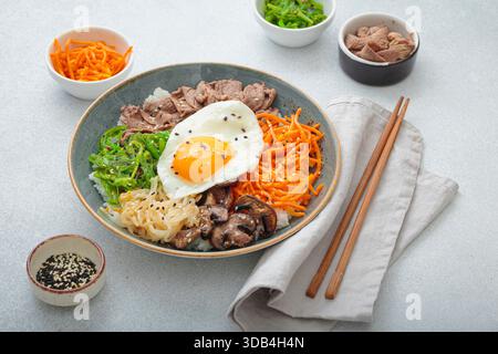 Bibimbap - riz coréen avec du bœuf, des légumes et des œufs frits Banque D'Images