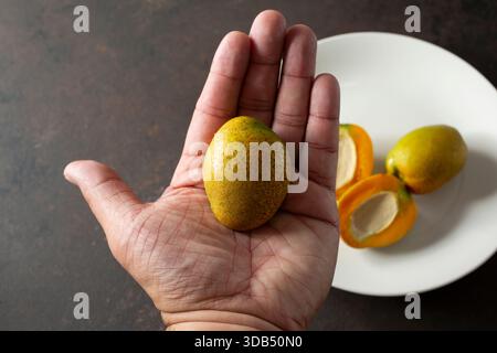 Une vue de haut en bas d'une main tenant une mini mangue. Banque D'Images