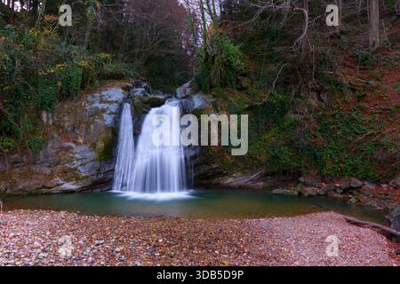 Cascade sereine dans un paysage forestier d'automne. Une photo tranquille longue exposition capturant une belle cascade en cascade dans une piscine claire, Surro Banque D'Images