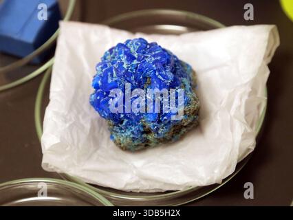 Cracovie. Cracovie. Pologne. Lazurite lapis lazuli gemme un minéral tectosilicate avec sulfate, soufre et chlorure. Spécimen minéral brut. Banque D'Images