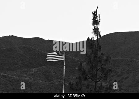 Image en noir et blanc d'un drapeau américain agitant sur une colline avec des montagnes et des arbres, créant une scène calme et symbolique de patriotisme. Banque D'Images