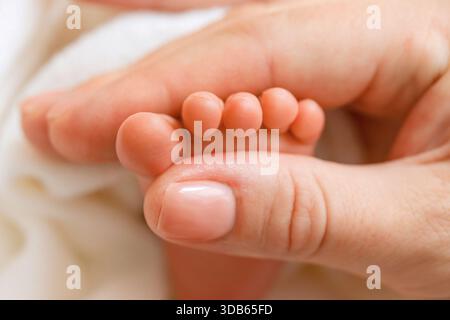 Gros plan extrême sur les minuscules orteils parfaits d'un nouveau-né tenu par le doigt manucuré d'un adulte Banque D'Images