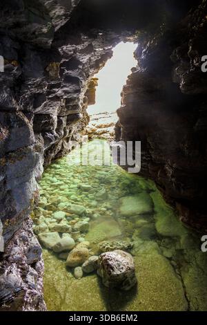 Piscine d'eau dans l'entrée de la grotte, North Landing, Flamborough Head, Yorkshire, Royaume-Uni Banque D'Images